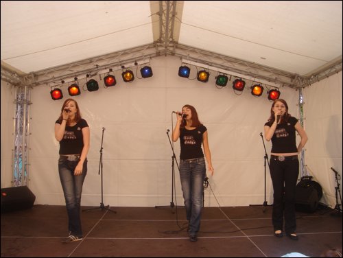 Stadtteilfest07 036.jpg
