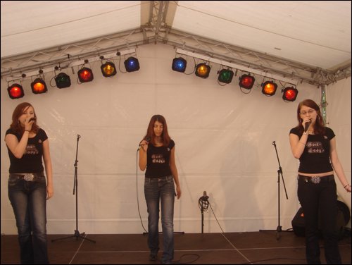 Stadtteilfest07 037.jpg