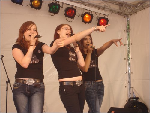 Stadtteilfest07 045.jpg